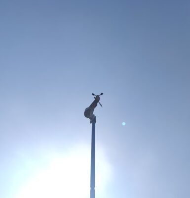 BeesMonitor™ Weather Station